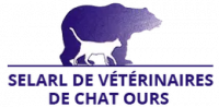 logo-bandeau-256w.png