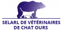 chat ours