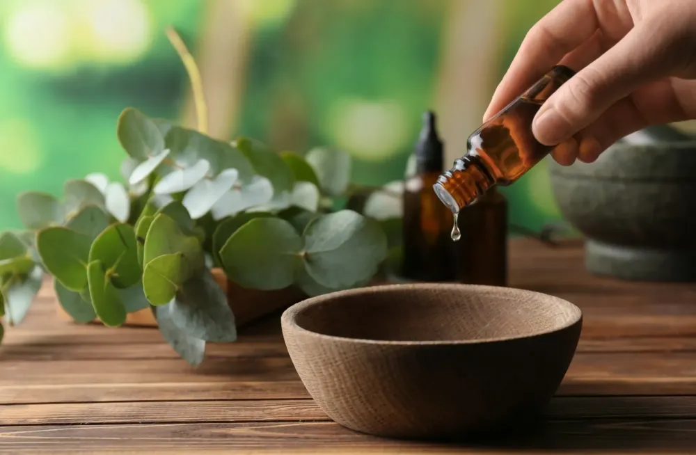 Phytotherapie animale à CHAOURCE