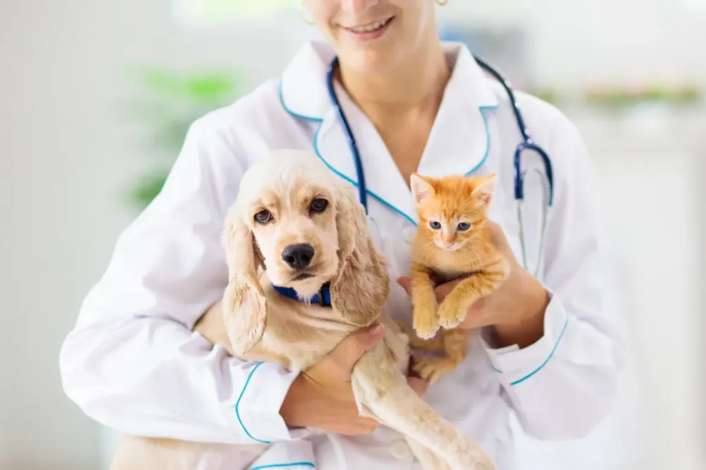Animaux de compagnie à CHAOURCE